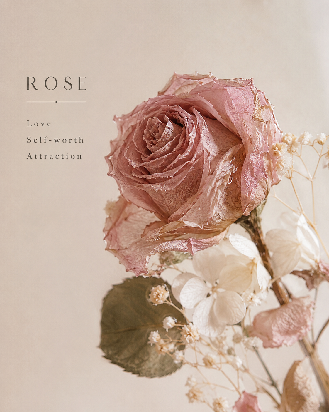 Rose