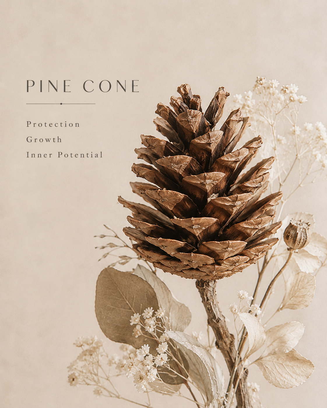 Pine Cone